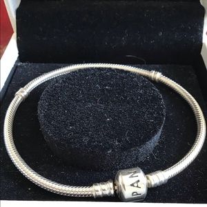 NWOT Pandora bracelet